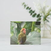 Little Parrot Postkarte (Stehend Vorderseite)