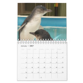 Little Penguin Kalender 2020 (Jan 2027)