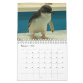 Little Penguin Kalender 2020 (Feb 2026)