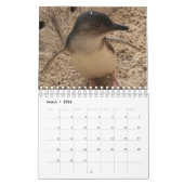 Little Penguin Kalender 2020 (Mär 2026)