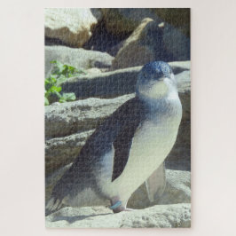 Little Penguin Puzzle
