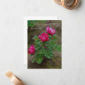 Little Peony Bush Mitteilungskarte (Vorderseite/Rückseite Beispiel)