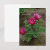 Little Peony Bush Mitteilungskarte (Vorne/Hinten)