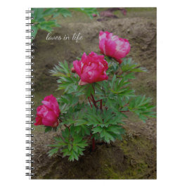 Little Peony Bush Notizblock