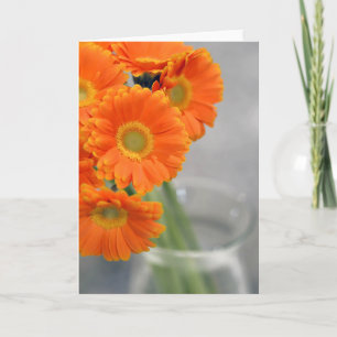 Little Philly Orange Daisy Fotografie Blanko Karte