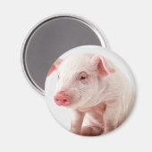 Little Pig Magnet (Vorderseite/Rückseite)