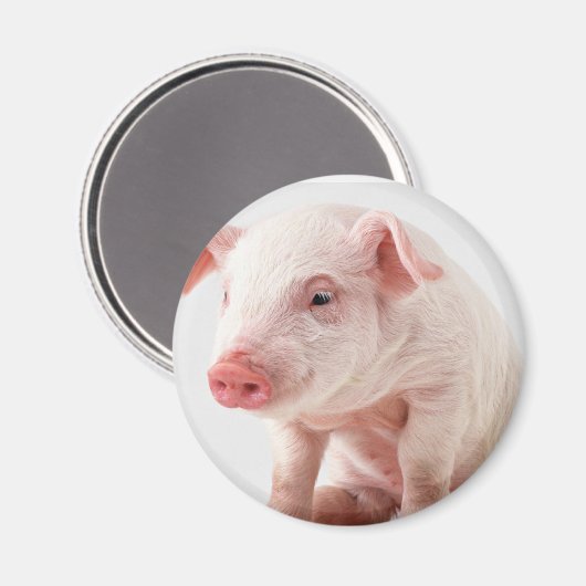 Little Pig Magnet (Vorderseite/Rückseite)