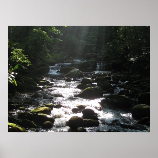 Little Pigeon River 2 Poster (Vorne)