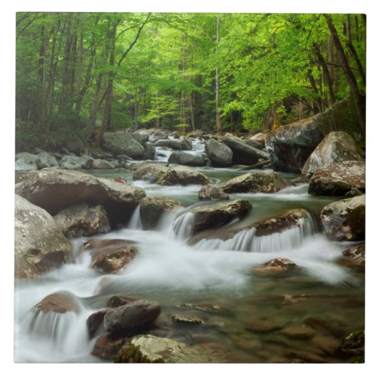 Little Pigeon River bei Greenbrier Fliese (Vorderseite)