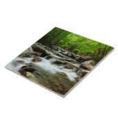 Little Pigeon River bei Greenbrier Fliese (Seite)