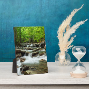 Little Pigeon River bei Greenbrier Fotoplatte