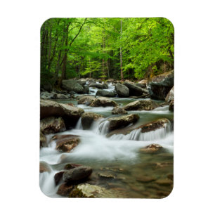 Little Pigeon River bei Greenbrier Magnet