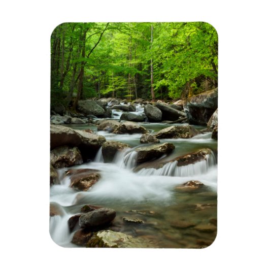 Little Pigeon River bei Greenbrier Magnet (Vertikal)
