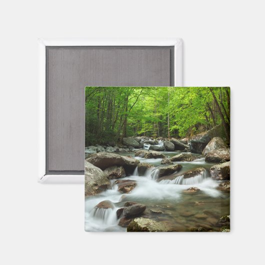 Little Pigeon River bei Greenbrier Magnet (Vorderseite/Rückseite)