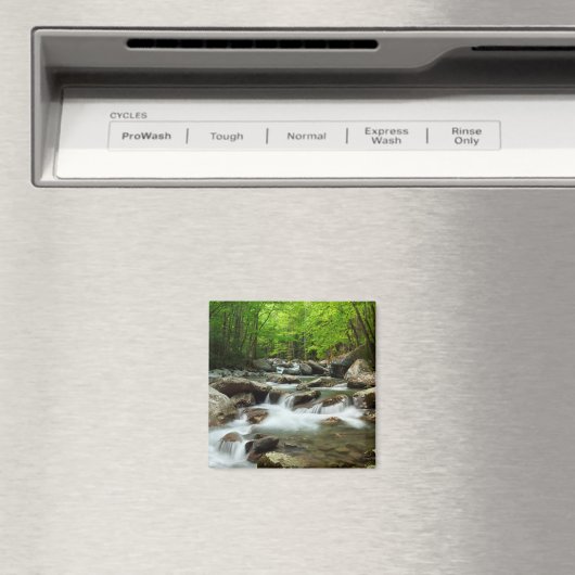 Little Pigeon River bei Greenbrier Magnet (In Situ (Geschirrspüler))