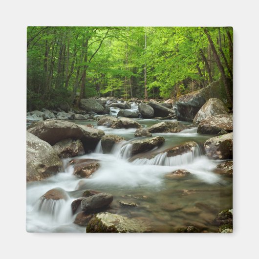 Little Pigeon River bei Greenbrier Magnet (Vorne)