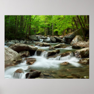 Little Pigeon River bei Greenbrier Poster