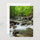 Little Pigeon River bei Greenbrier Postkarte (Vorne/Hinten)