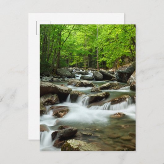 Little Pigeon River bei Greenbrier Postkarte (Vorne/Hinten)