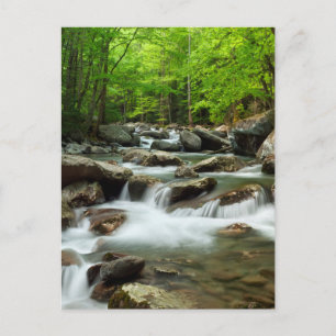 Little Pigeon River bei Greenbrier Postkarte