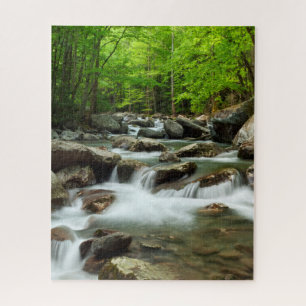 Little Pigeon River bei Greenbrier Puzzle