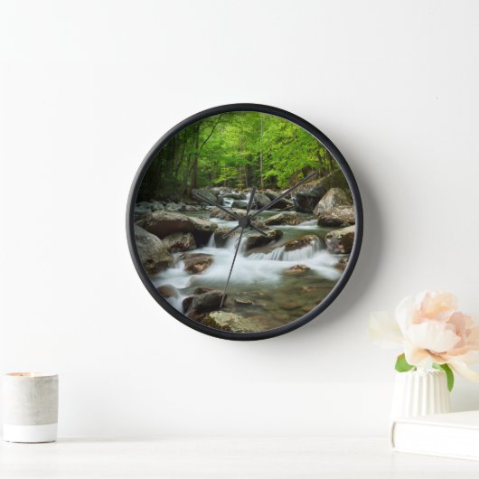 Little Pigeon River bei Greenbrier Uhr (Zuhause)