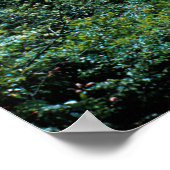 Little Pigeon River Poster (historisch) (Ecke)