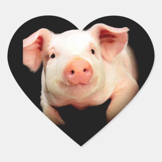 Little Piggy Herz-Aufkleber (Vorderseite)