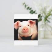Little Piggy Postkarte (Stehend Vorderseite)
