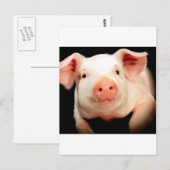 Little Piggy Postkarte (Vorne/Hinten)