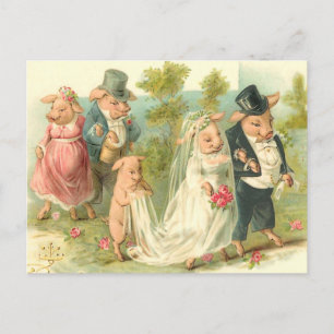 Little Piggy Wedding Postkarte