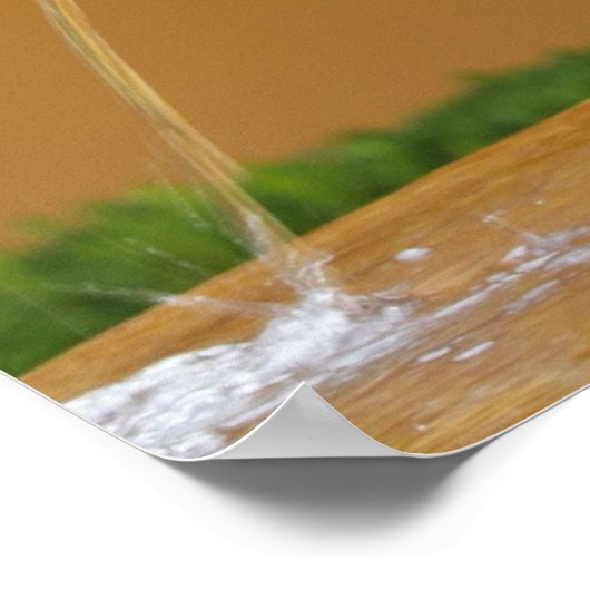 Little Pisser Poster (Ecke)