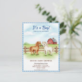 Little Pony Baby Boy Shower Gingham Invitation Postkarte (Stehend Vorderseite)