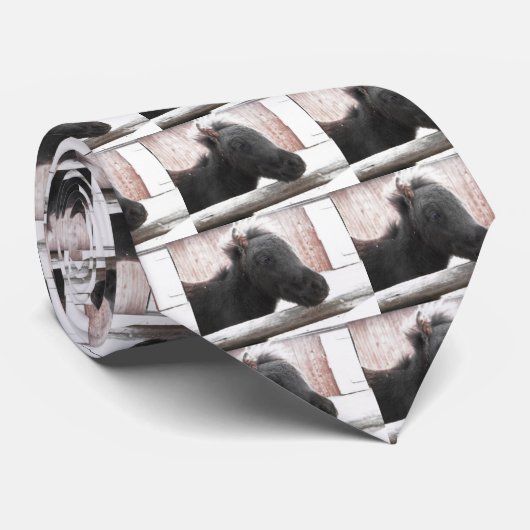 Little Pony Krawatte (Gerollt)