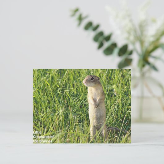 Little Prairie Creatures Postkarte (Stehend Vorderseite)