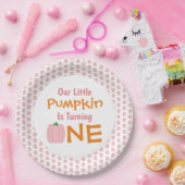 Little Pumpkin 1. Geburtstag Pappteller (Party)
