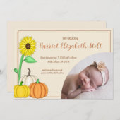 Little Pumpkin Birth Ankündigung (Vorne/Hinten)