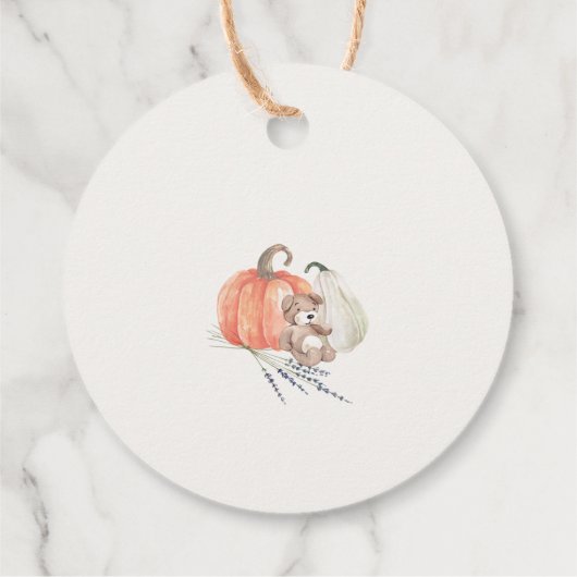 Little Pumpkin Fall Kleidung Junge Dusche Geschenkanhänger (Rückseite)