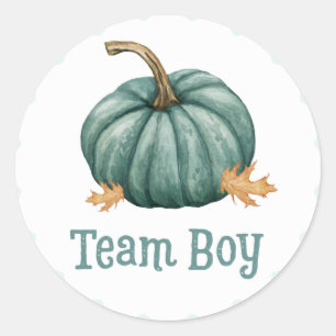 Little Pumpkin Gender Team Boy Reveal Stickers