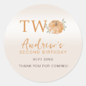 Little Pumpkin Herbst 2. Geburtstag Runder Aufkleber (Vorderseite)