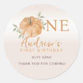 Little Pumpkin Herbst Erster Geburtstag Runder Aufkleber (Vorderseite)