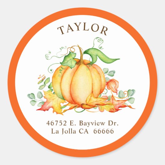 Little Pumpkin Orange Rücksendeadressen-Aufkleber Runder Aufkleber (Vorderseite)
