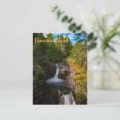 Little Qualicum Falls Vancouver Island Kanada Postkarte (Stehend Vorderseite)