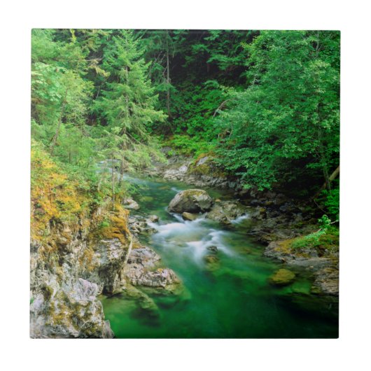 Little Qualicum Fliese (Vorderseite)