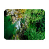 Little Qualicum River Magnet (Horizontal)