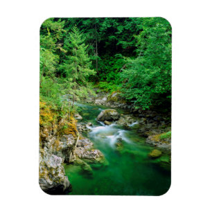 Little Qualicum River Magnet