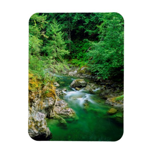 Little Qualicum River Magnet (Vertikal)