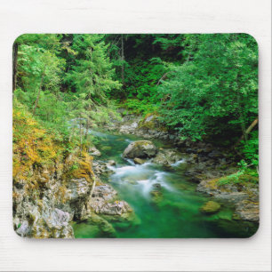 Little Qualicum River Mousepad