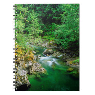 Little Qualicum River Notizblock