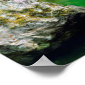 Little Qualicum River Poster (Ecke)